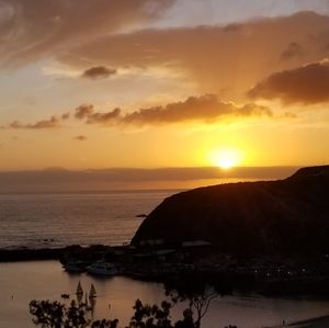 Meet your Posher, Elisa